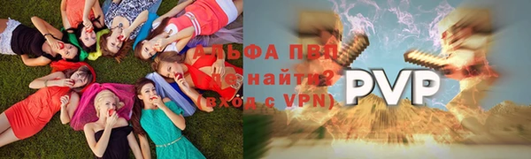 гашик Алексеевка