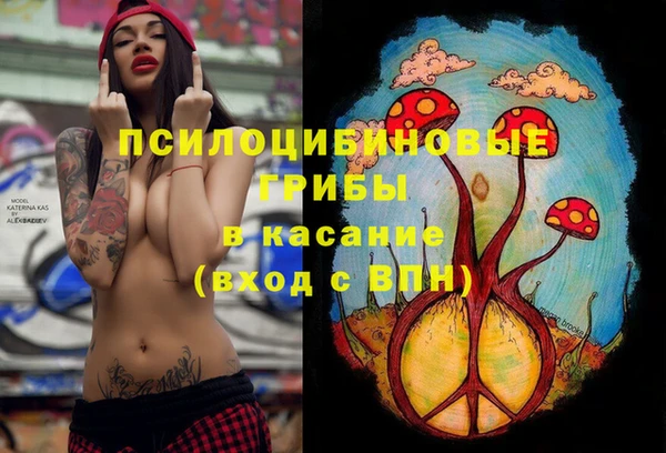 гашик Алексеевка