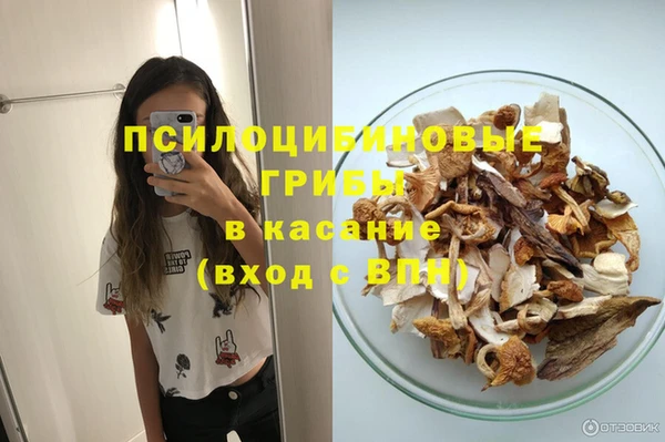 гашик Алексеевка
