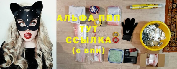 прущие крисы Алзамай
