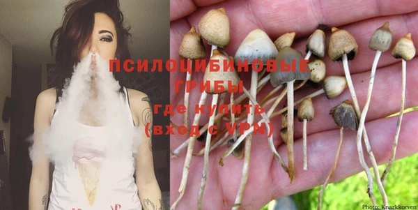 гашик Алексеевка