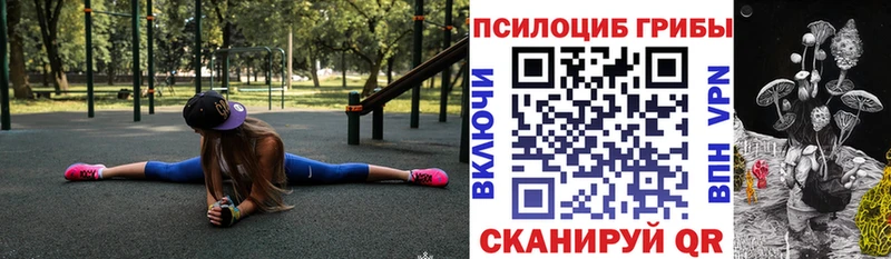 Псилоцибиновые грибы мухоморы  ОМГ ОМГ онион  Калининск 